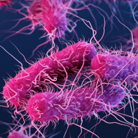 Emerging antibiotic resistance: Why we need new antibiotics! | Swiss ...